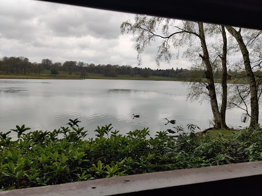Tatton Park Bird Hide - Thumbnail