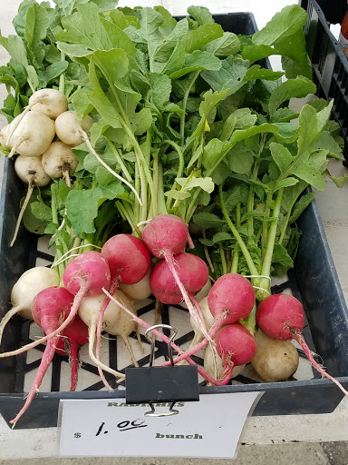SaintParis FarmersMarket Gallery - United States