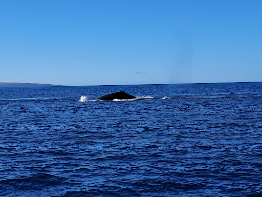 Molokai Ocean Tours