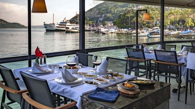 Viya Balık
