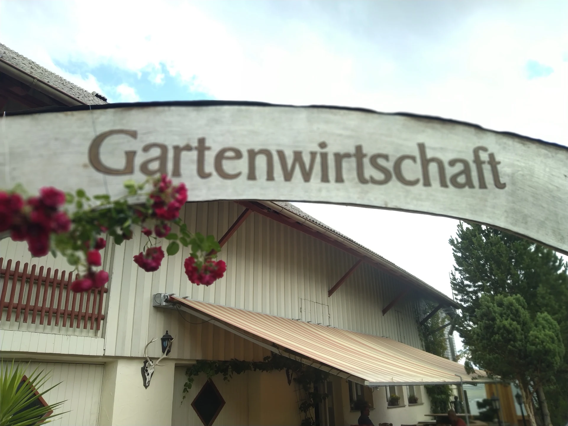 Schwanen