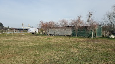 Photos of Museum Ranchos