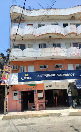 Video Bar Cachorros