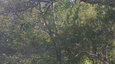 Photos of Magalies Sleepy River
