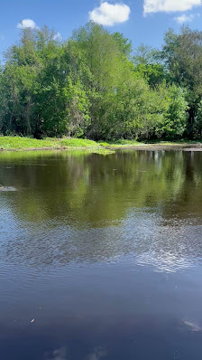 Wild Bill's Airboat Tours 12430 E Gulf to Lake Hwy, Inverness, FL 34450, United States
