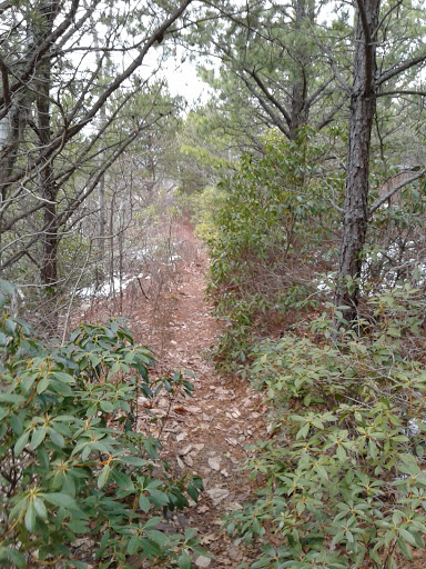 James River Face Wilderness - Thumbnail