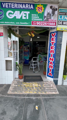 Opinii despre Clinica veterinaria Gavet - Puente Piedra în Puente Piedra - Veterinario