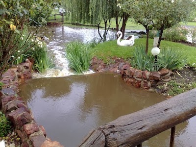 Photos of Sun Valley Wedding and Golf Venue