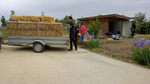 Photo n°12 de Anjou Fourrage Tradition à Jarzé Villages (Magasin d'alimentation animale)