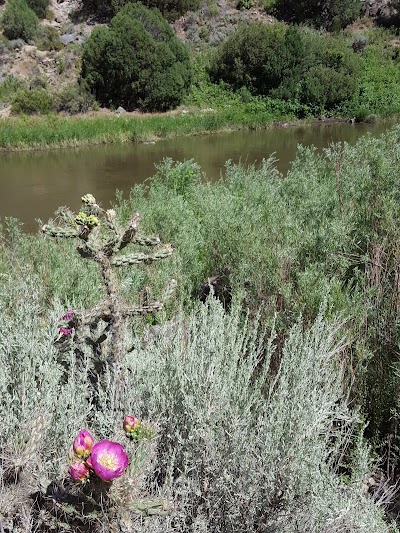 Black Rock Hot Springs