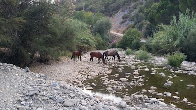 Photos of Finca La Escribana, Genalguacil