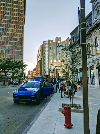 D'Youville Gallery - Canada