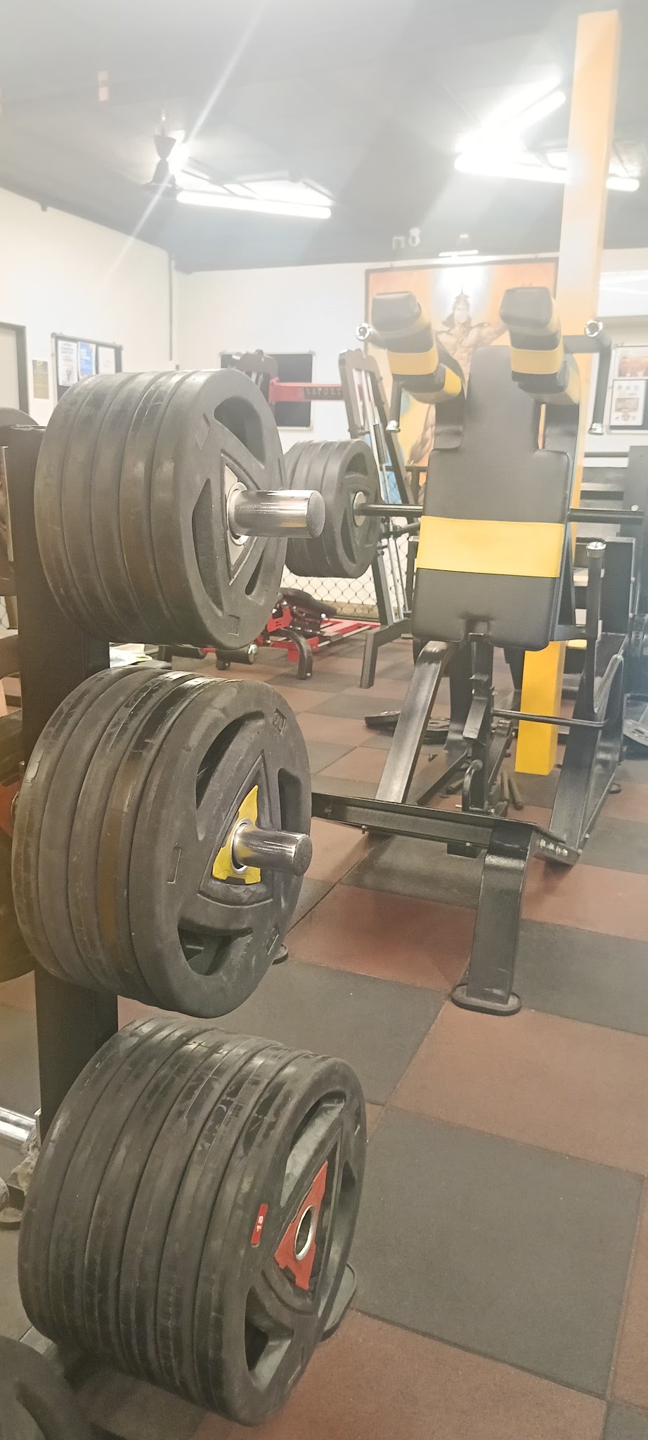 Classic Fitness Gym photo 5