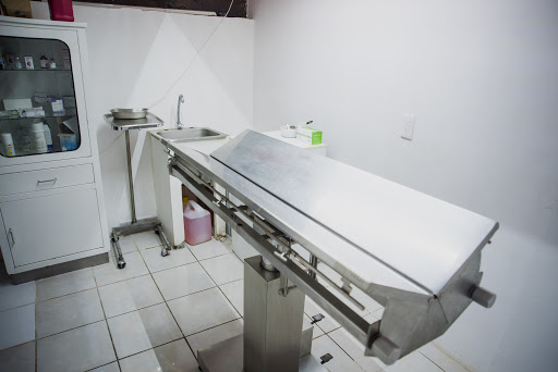 Veterinaria Pet Home - Thumbnail