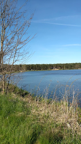 Ośrodek wypoczynkowy Zielona