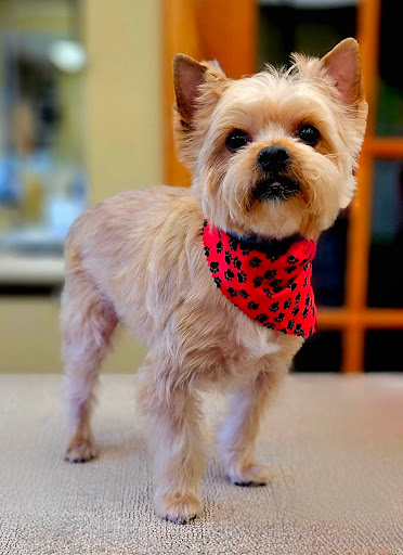 LaVale Veterinary Hospital - United States