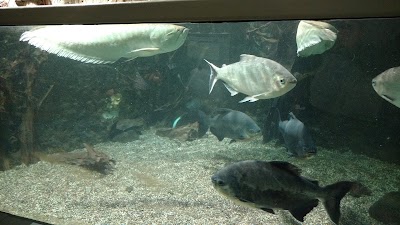 Photos of Exotarium Oberhof