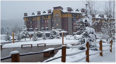 Photos of Vintage Hotel