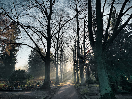 Kirchengemeinde Zepernick Friedhof