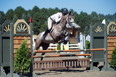 Countryside Equine Veterinary Service