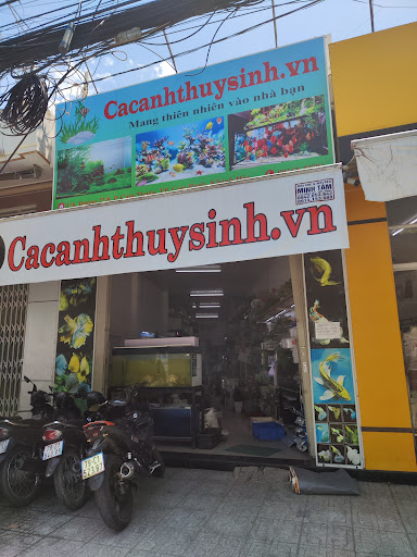 Cacanhthuysinh.vn