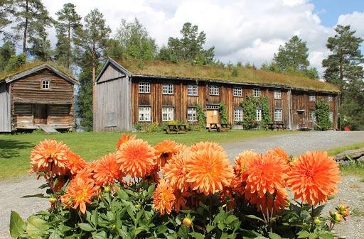 Rindal skimuseum