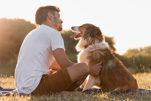 Woodglen pet cremation & Funeral Home