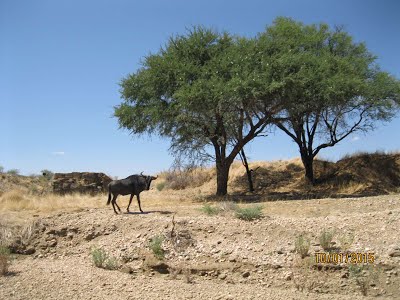 Photos of Okapukaberg