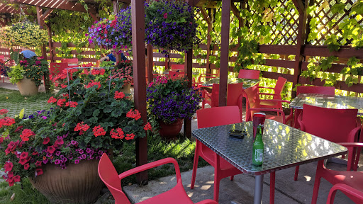 Patty's Mexican Kitchen & Catering - Thumbnail