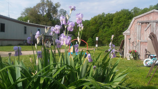 Andrews Estates Mobile Home Park