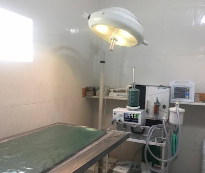 Photos of ART ANIMAL VETERINARY