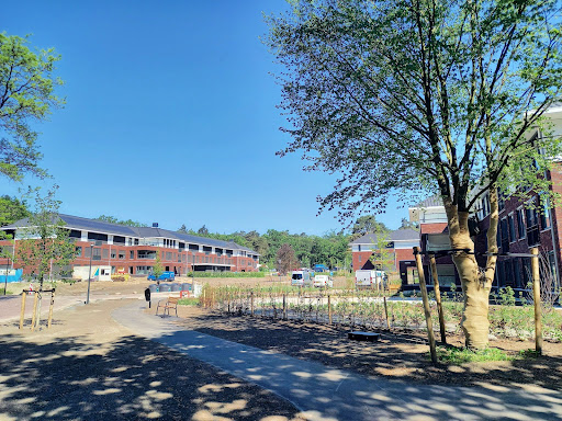 Diakonessenhuis Doorn - Thumbnail