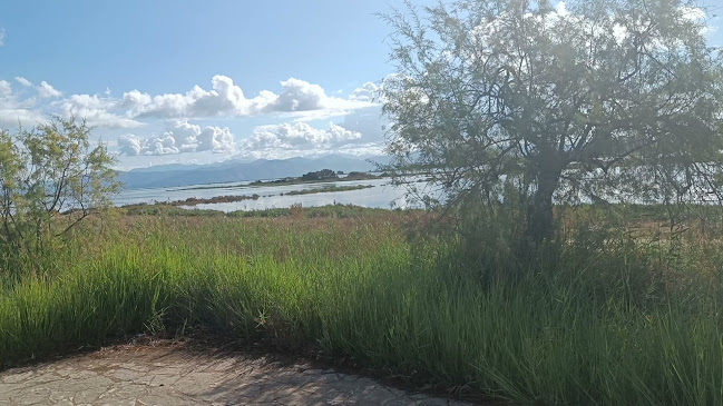 Αξιολογήσεις για το ΚΠΕ ΚΕΡΚΥΡΑΣ στην Χαλκίδα - Σχολείο