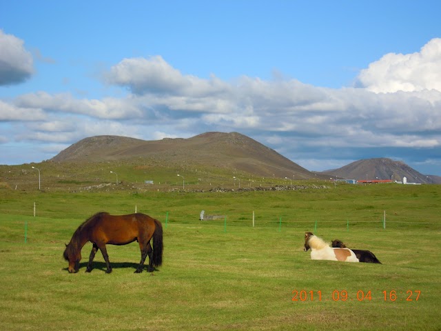 Reykjavik