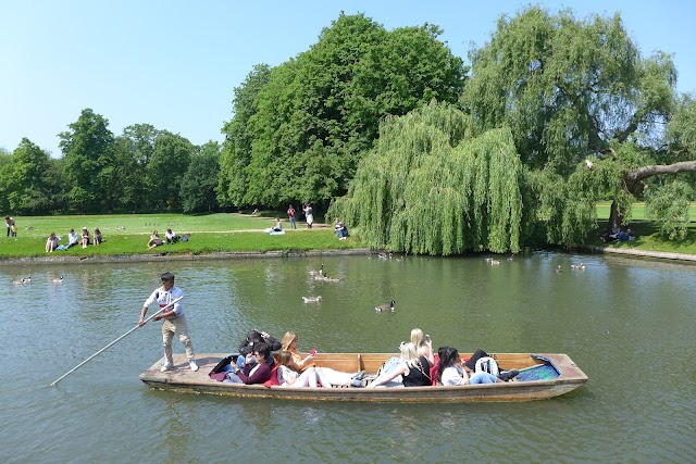 Université de Cambridge