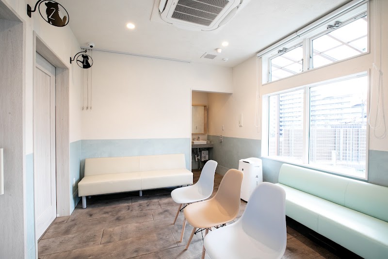 うぃっと動物病院