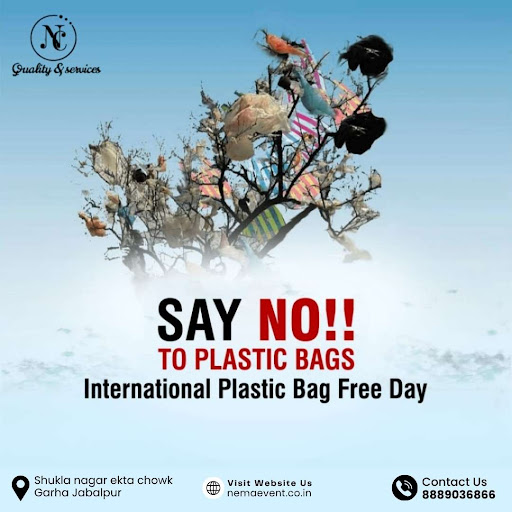 Taking a stand for a cleaner planet by going plastic bag free on International Plastic Bag Free D… post image