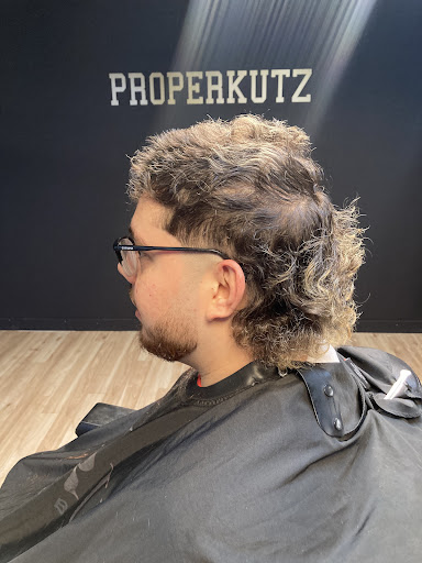 Proper Kutz - Visual