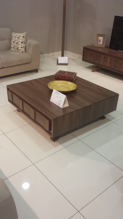 Photos of dogtas exclusive