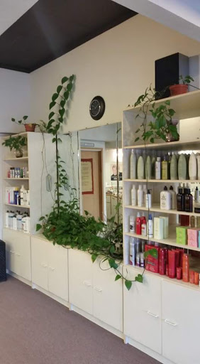 Esquire Styling Shop