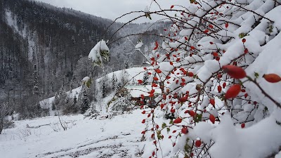 Ayıkayası Tabiat Parkı