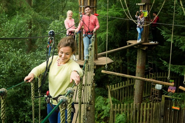 Go Ape Sherwood
