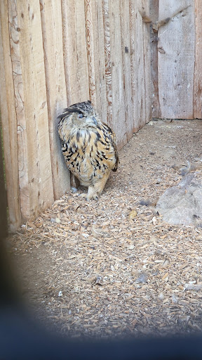 Tiergehege im Botanischen Garten Chemnitz