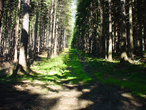 Kleiner Hirschenstein
