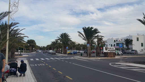 Bus Stop - Lanzarote Gardens - Thumbnail