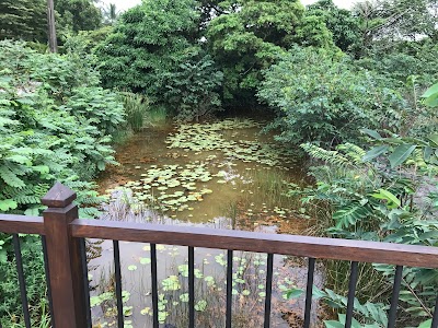 Photos of Beddagana Wetland Park