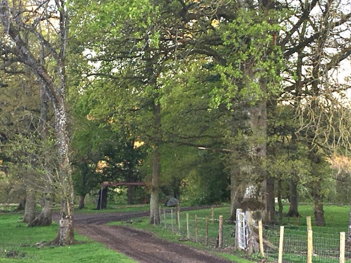 Court Farm Camping - Thumbnail