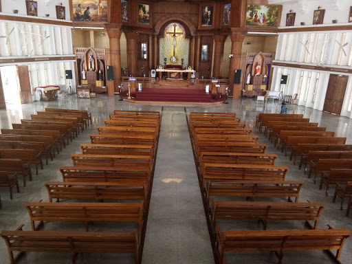 Little Flower Church Elamkulam Mass Times | Best Flower Site