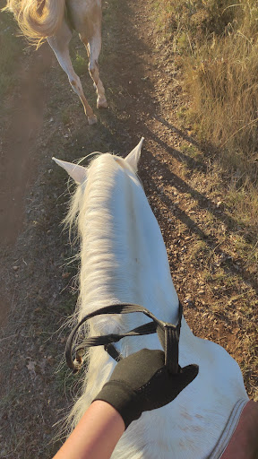Accademia equestre Doc