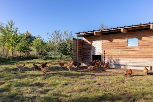 Photo n°3 de À la Ferme des Prés à Retiers (Ferme porcine)